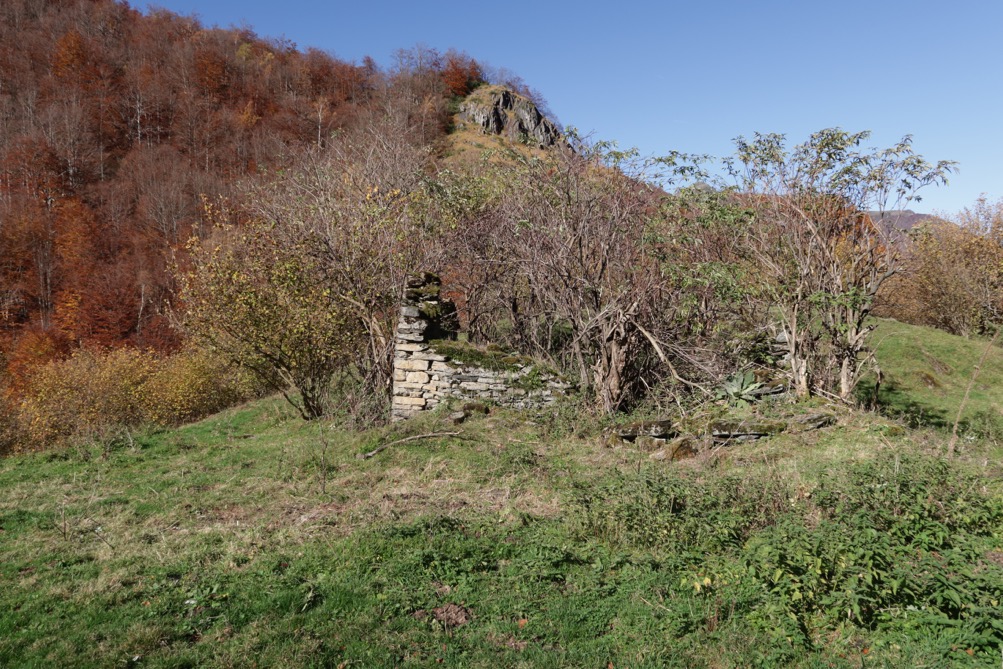 Ancienne estive en cours de recolonisation par les arbres dans le massif du Mont-Valier
